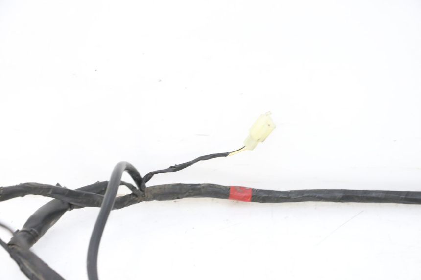 photo de CABLEADO PIAGGIO LXV 4T 50 (2009 - 2013)
