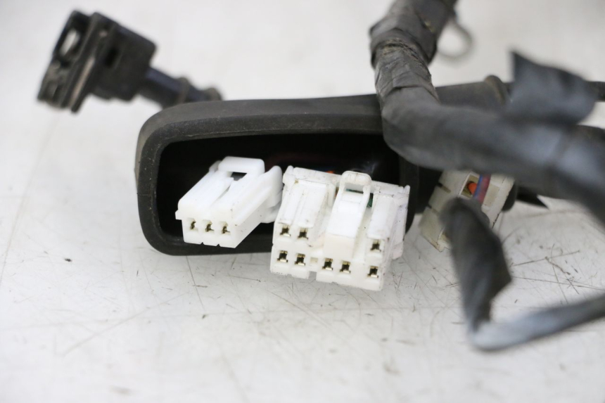 photo de CABLEADO PIAGGIO LXV 4T 50 (2009 - 2013)