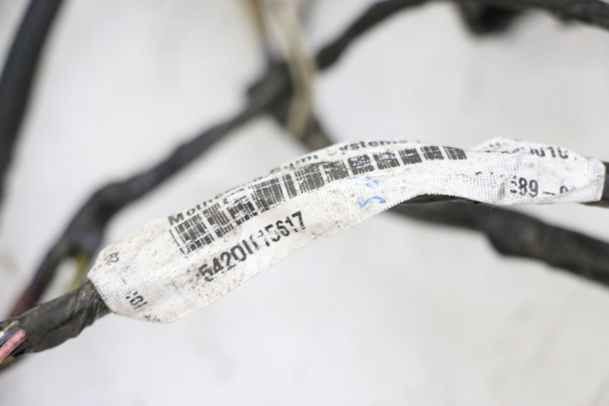 photo de CABLEADO PIAGGIO LXV 4T 50 (2009 - 2013)