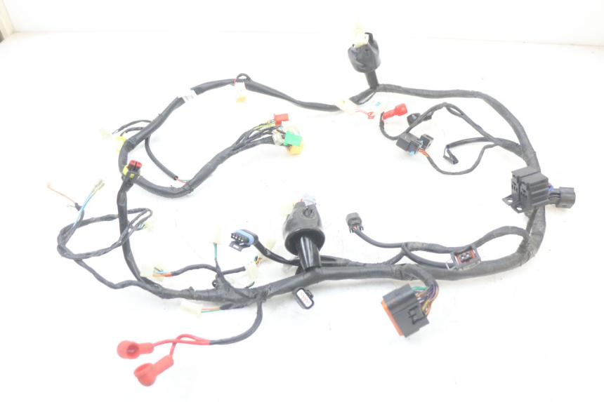 photo de CABLEADO MASH LEGEND'R 4T 50 (2021 - 2025)