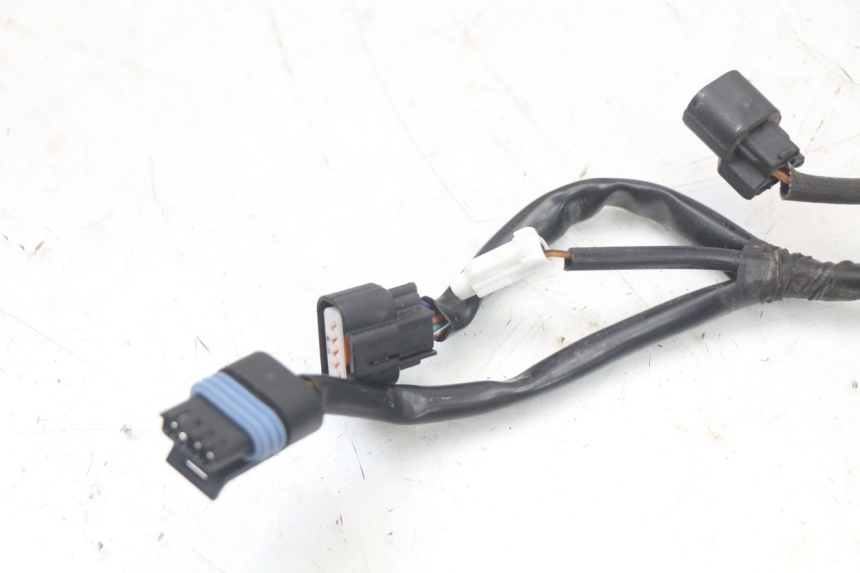 photo de CABLEADO MASH LEGEND'R 4T 50 (2021 - 2025)