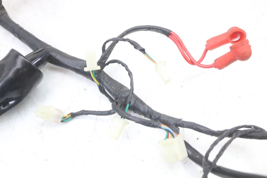 photo de CABLEADO MASH LEGEND'R 4T 50 (2021 - 2025)