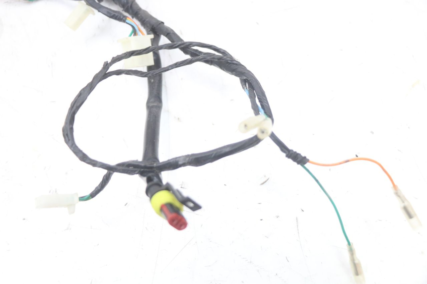 photo de CABLEADO MASH LEGEND'R 4T 50 (2021 - 2025)