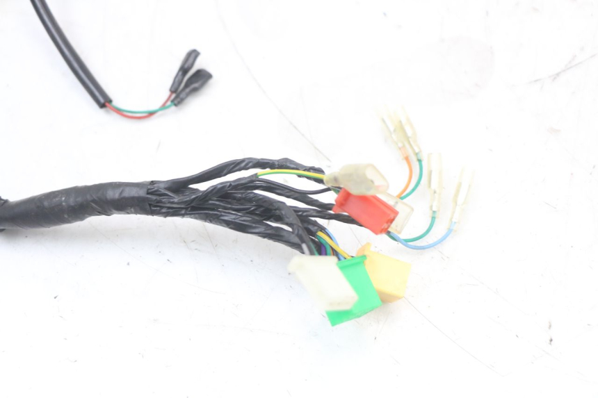 photo de CABLEADO MASH LEGEND'R 4T 50 (2021 - 2025)