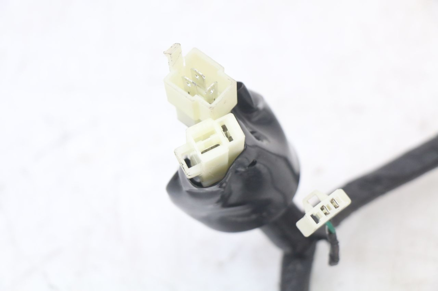 photo de CABLEADO MASH LEGEND'R 4T 50 (2021 - 2025)