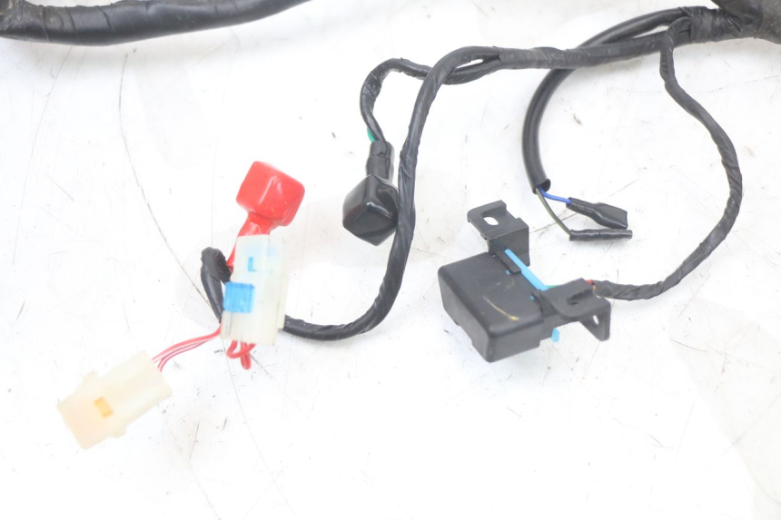 photo de CABLEADO MASH LEGEND'R 4T 50 (2021 - 2025)