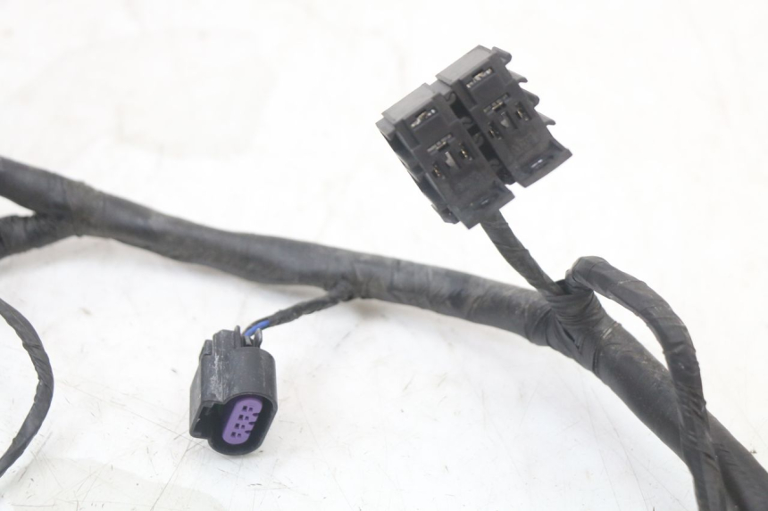 photo de CABLEADO MASH LEGEND'R 4T 50 (2021 - 2025)