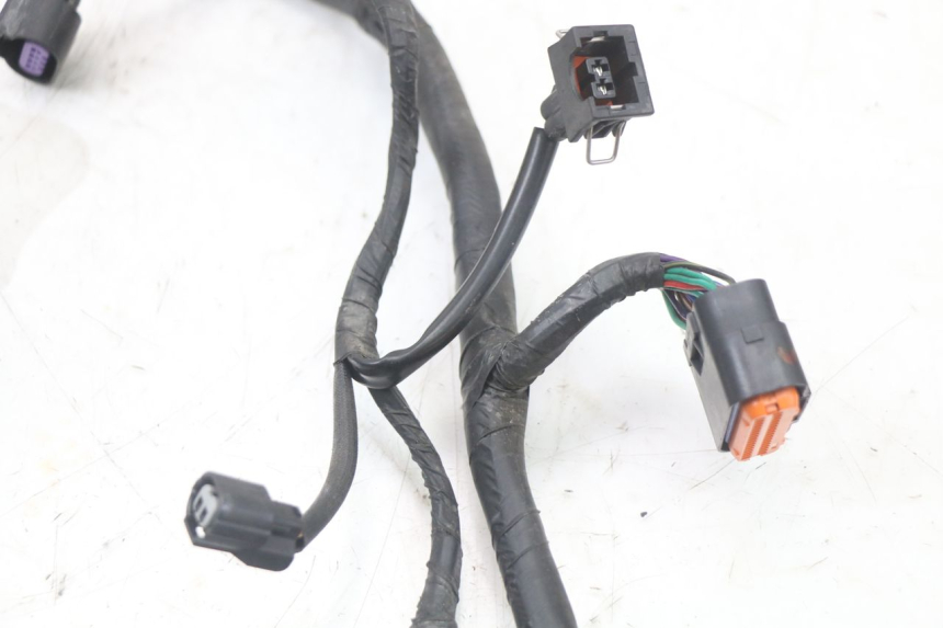 photo de CABLEADO MASH LEGEND'R 4T 50 (2021 - 2025)