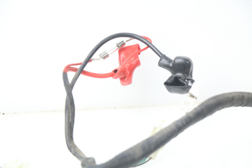 photo de CABLEADO JM MOTORS MIA 50 (2017 - 2020)