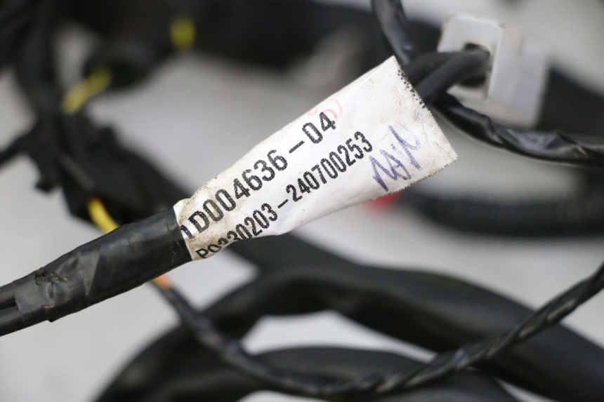 photo de CABLEADO PIAGGIO MP3 HPE 310 (2024 - 2025)