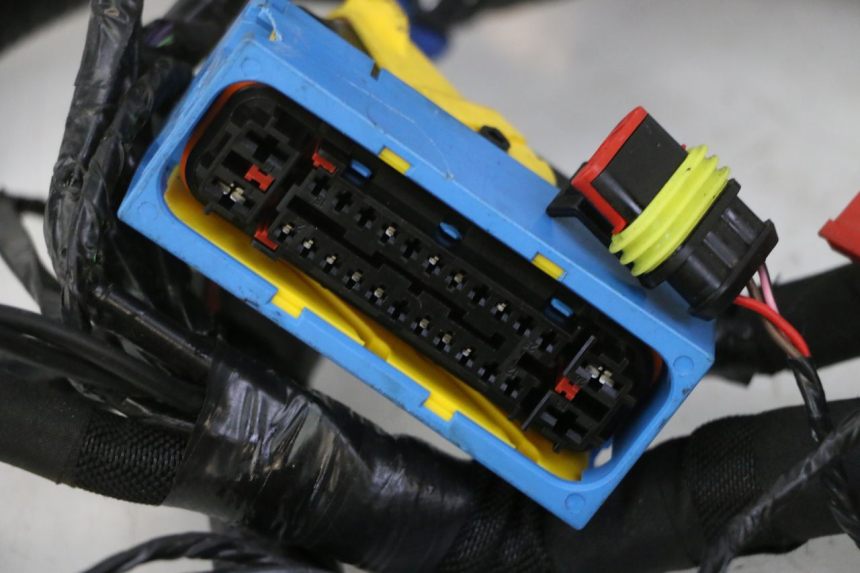 photo de CABLEADO PIAGGIO MP3 HPE 310 (2024 - 2025)