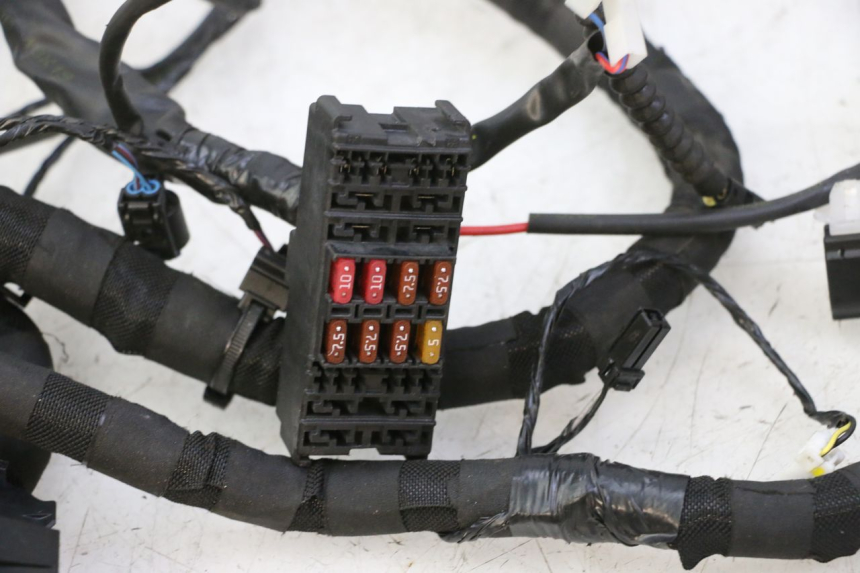 photo de CABLEADO PIAGGIO MP3 HPE 310 (2024 - 2025)