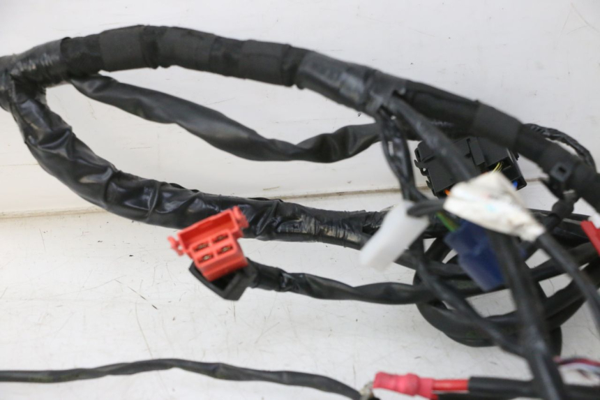 photo de CABLEADO PIAGGIO MP3 HPE 310 (2024 - 2025)