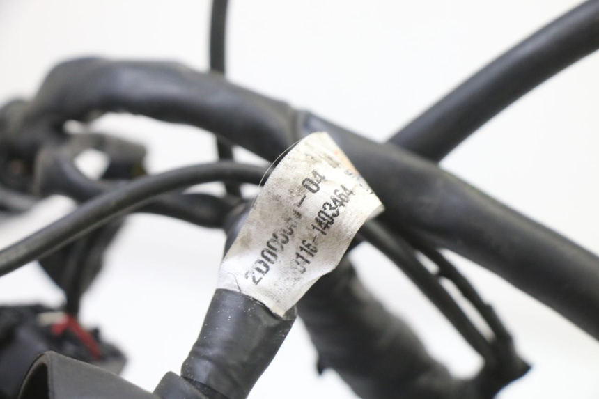 photo de CABLEADO PIAGGIO MP3 500 (2014 - 2016)