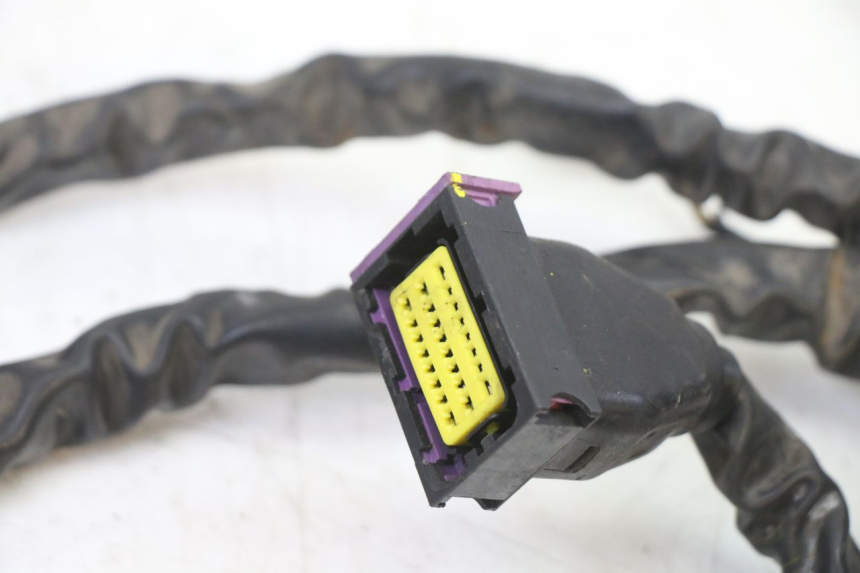 photo de CABLEADO PIAGGIO MP3 500 (2014 - 2016)