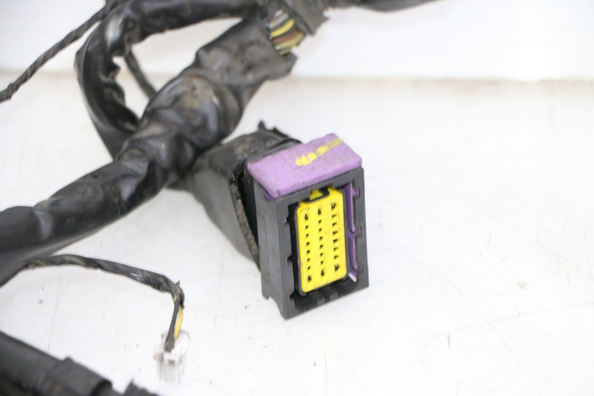 photo de CABLEADO PIAGGIO MP3 500 (2011 - 2015)