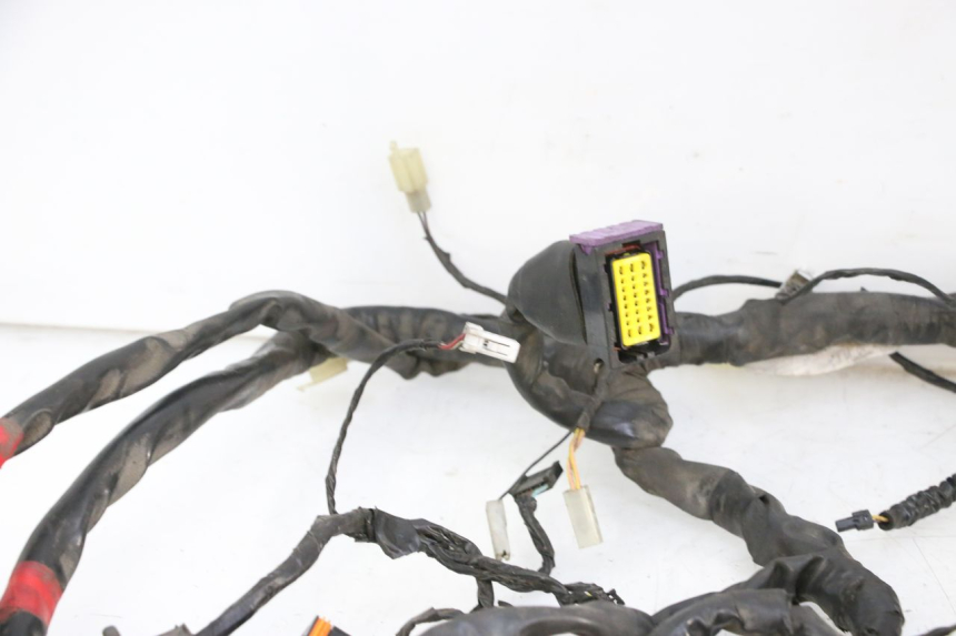 photo de CABLEADO PIAGGIO MP3 125 (2006 - 2014)