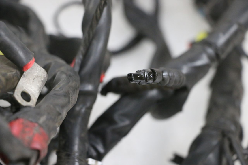 photo de CABLEADO PIAGGIO MP3 RL 250 (2007 - 2010) - Detalle de la pieza