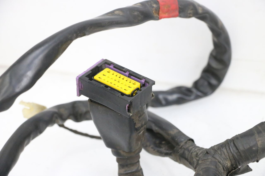 photo de CABLEADO PIAGGIO MP3 RL 250 (2007 - 2010) - Marcados y referencias originales