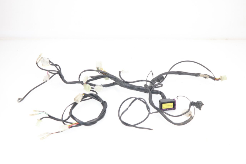 photo de CABLEADO RIEJU MRT 50 (2018 - 2021)