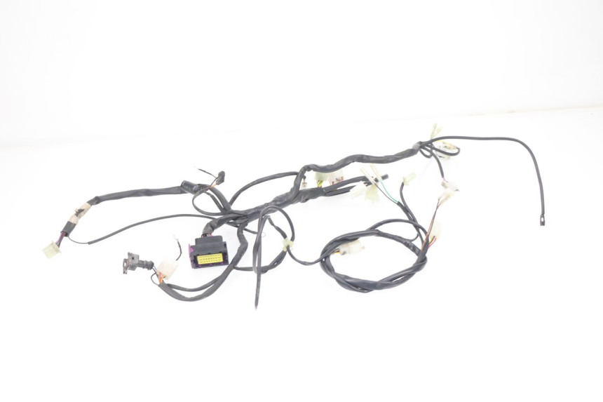photo de CABLEADO RIEJU MRT 50 (2018 - 2021)