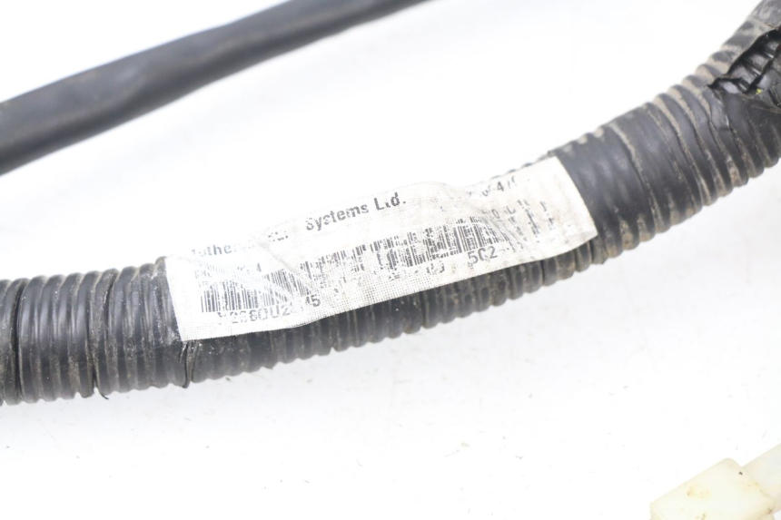 photo de CABLEADO YAMAHA NEO'S NEOS 2T 50 (2007 - 2017)