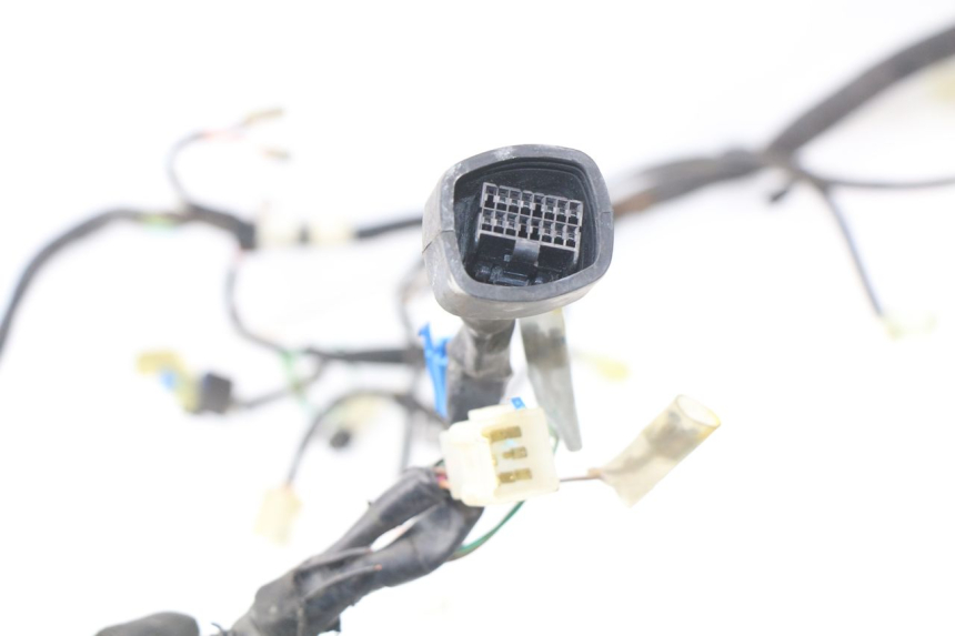 photo de CABLEADO YAMAHA NEOS NEO'S 4T 50 (2008 - 2016)
