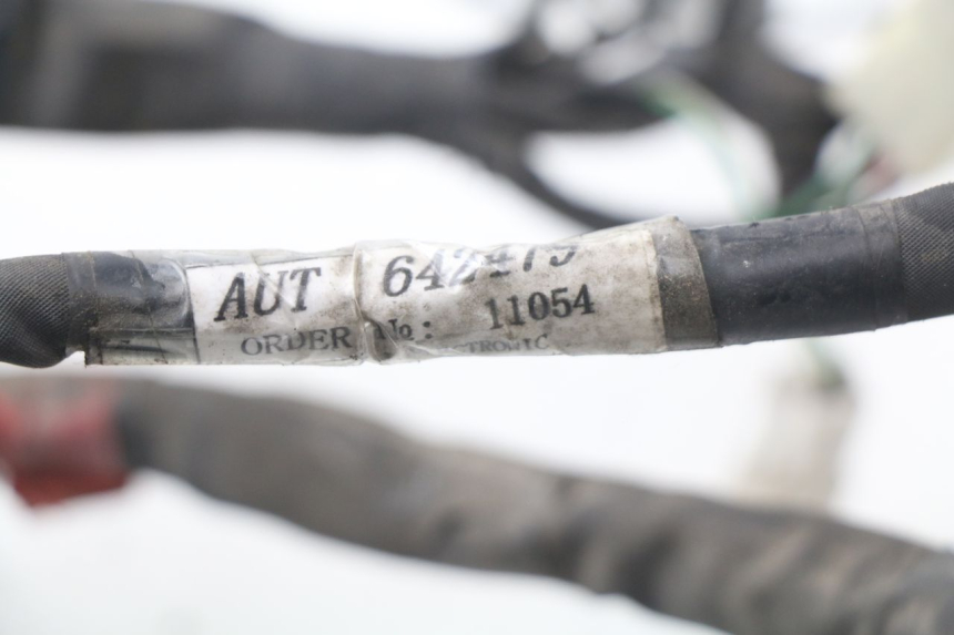 photo de CABLEADO PIAGGIO NEW TYPHOON 50 (2010 - 2017)