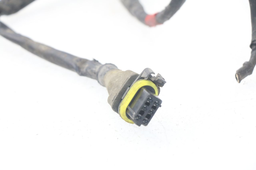 photo de CABLEADO PIAGGIO NEW TYPHOON 50 (2010 - 2017)