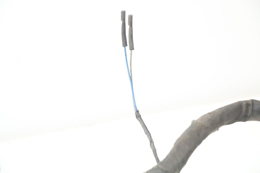 photo de CABLEADO PIAGGIO NEW TYPHOON 50 (2010 - 2017)