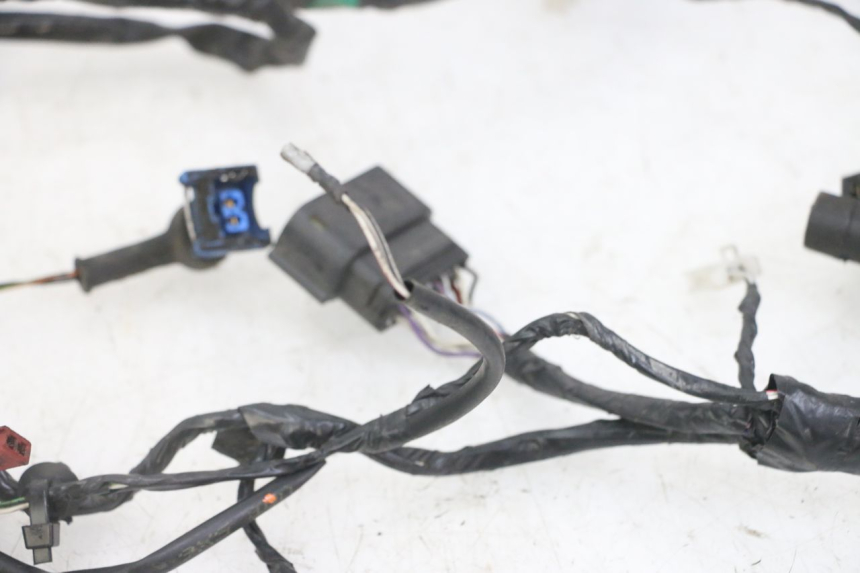 photo de CABLEADO PIAGGIO NEW TYPHOON 50 (2018 - 2021)