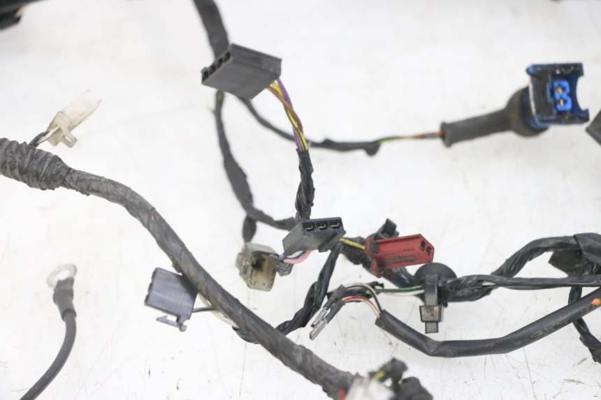 photo de CABLEADO PIAGGIO NEW TYPHOON 50 (2018 - 2021)