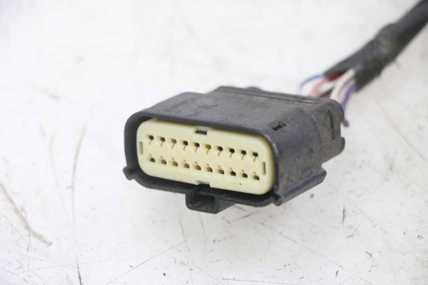 photo de CABLEADO PIAGGIO NEW TYPHOON 50 (2018 - 2021)