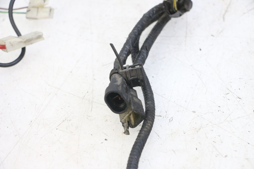 photo de CABLEADO PIAGGIO NEW TYPHOON 50 (2018 - 2021)