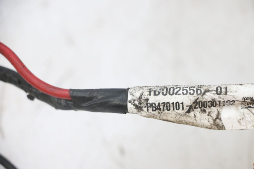 photo de CABLEADO PIAGGIO NEW TYPHOON 50 (2018 - 2021)