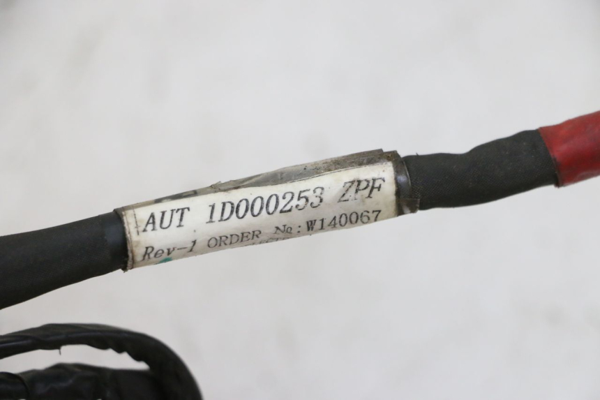 photo de CABLEADO PIAGGIO NEW TYPHOON 50 (2010 - 2017)