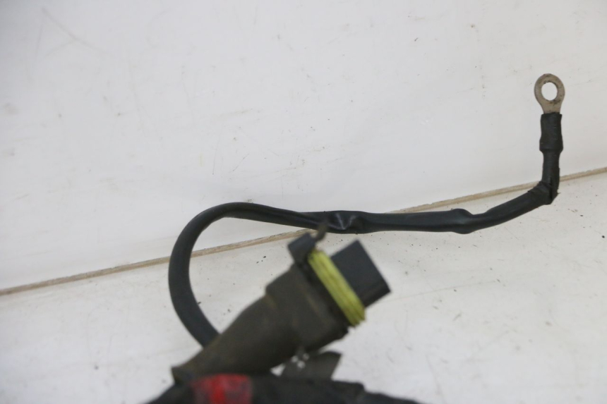 photo de CABLEADO PIAGGIO NEW TYPHOON 50 (2010 - 2017)