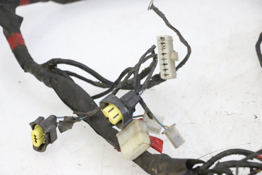 photo de CABLEADO PIAGGIO NEW TYPHOON 50 (2010 - 2017)