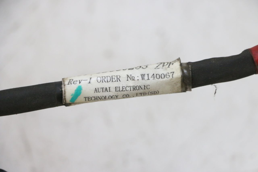 photo de CABLEADO PIAGGIO NEW TYPHOON 50 (2010 - 2017)