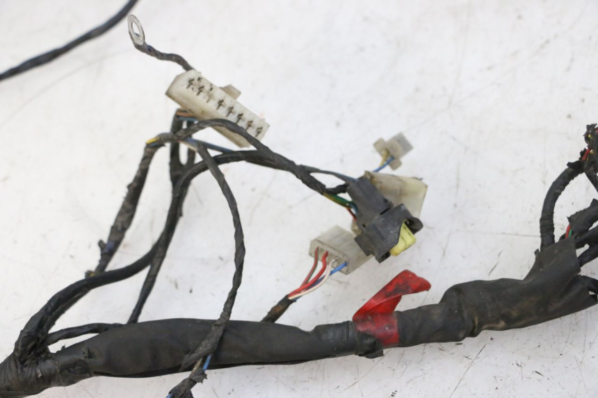 photo de CABLEADO PIAGGIO NEW TYPHOON 50 (2010 - 2017)