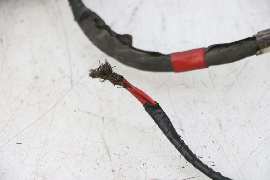 photo de CABLEADO PIAGGIO NEW TYPHOON 50 (2010 - 2017)