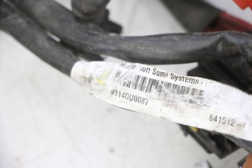 photo de CABLEADO GILERA NEXUS 125 (2009 - 2013)
