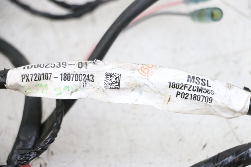 photo de CABLEADO PIAGGIO NRG POWER PUREJET 50 (2018 - 2021)