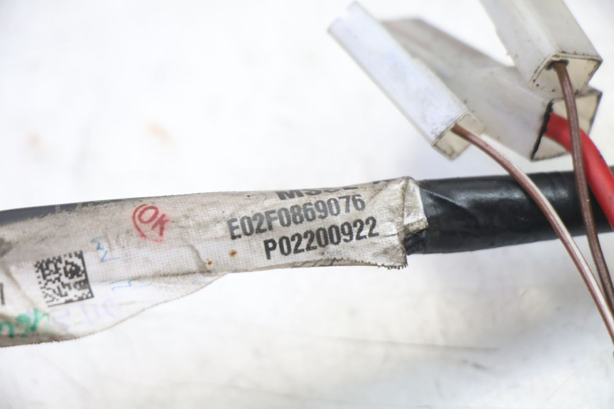 photo de CABLEADO PIAGGIO NRG POWER PUREJET 50 (2018 - 2021)