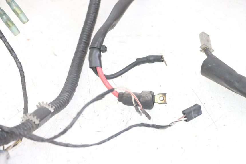 photo de CABLEADO PIAGGIO NRG POWER PUREJET 50 (2018 - 2021)