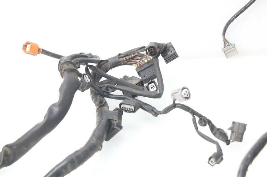 photo de CABLEADO HONDA NSS EX FORZA 250 (2005 - 2013)