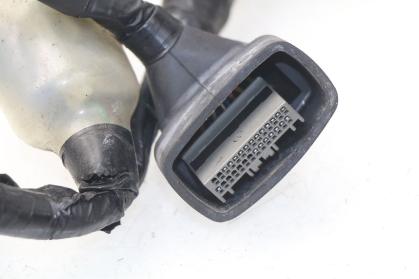 photo de CABLEADO HONDA NSS EX FORZA 250 (2005 - 2013)