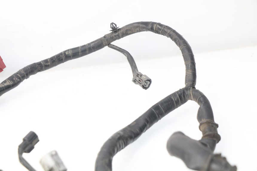photo de CABLEADO HONDA NSS EX FORZA 250 (2005 - 2013)