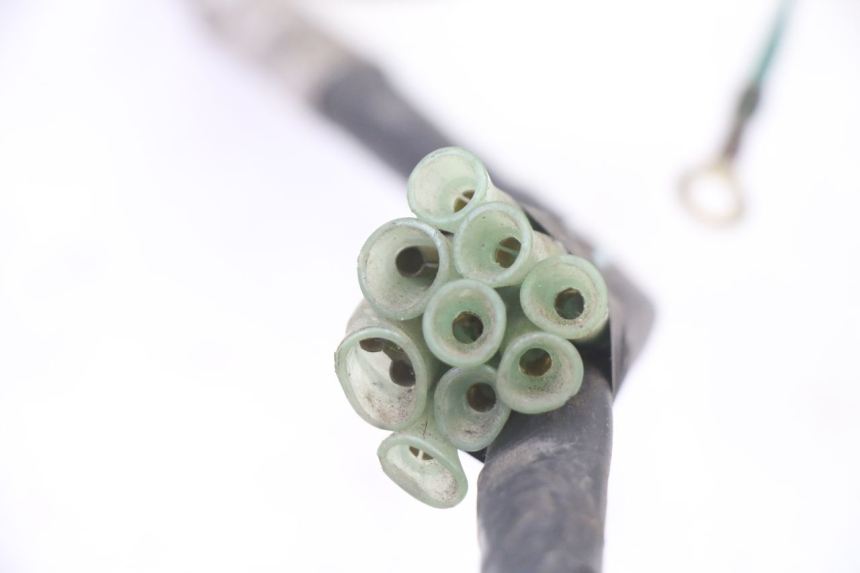 photo de CABLEADO HONDA NTV DEAUVILLE 650 (2001 - 2006)