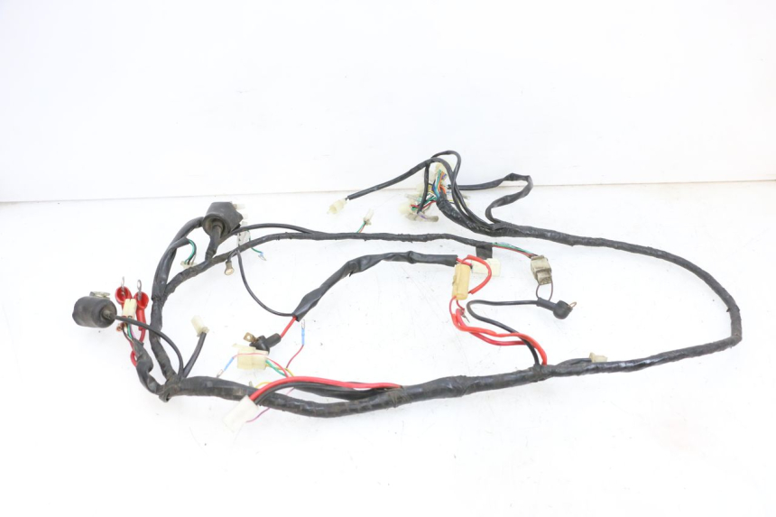 photo de CABLEADO JM MOTORS OLDIES 4T 50 (2010 - 2020) - Vista general del producto